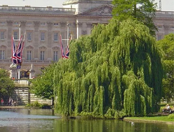Britains kings and queens A Bit About Britain UK2