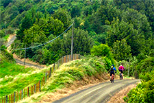 Motu Trails 225x150 a