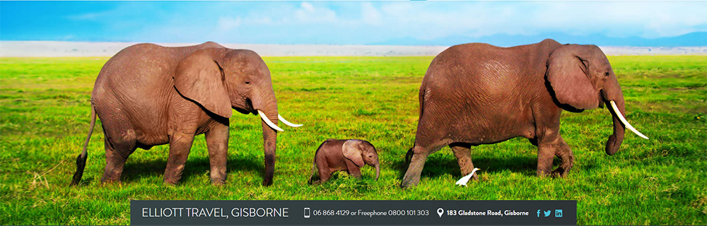 Elliott Travel Elephants 1000x320