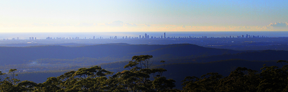 Tamborine Lorikeets 001 aust 1000x320