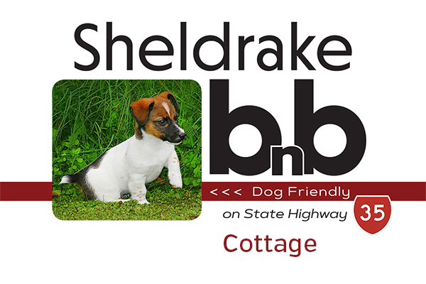 Sheldrakebnb DOG Friendly Cottage
