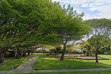 Grampian Reserve 800