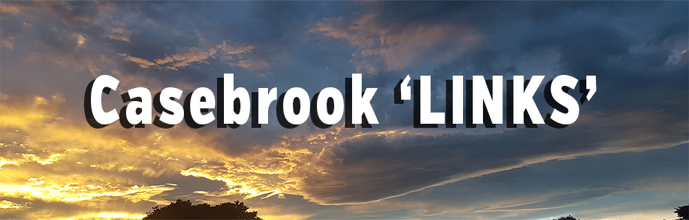 Csebrook LINKS 1000x320