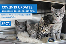 SPCA Gisborne 225x150