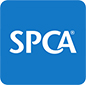 SPCA Gisborne 86sq2