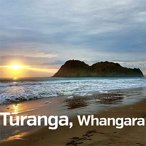 Turanga Whangara Sq300