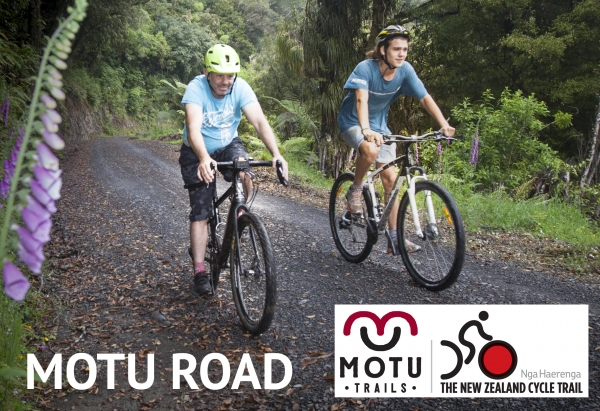 WEBSITE MOTU foxglove