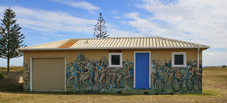 Mudge Triathlon club Murals