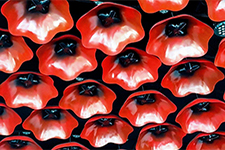 facebook Gisborne Theatres 225x150