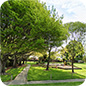 Casebrook Christchurch 86
