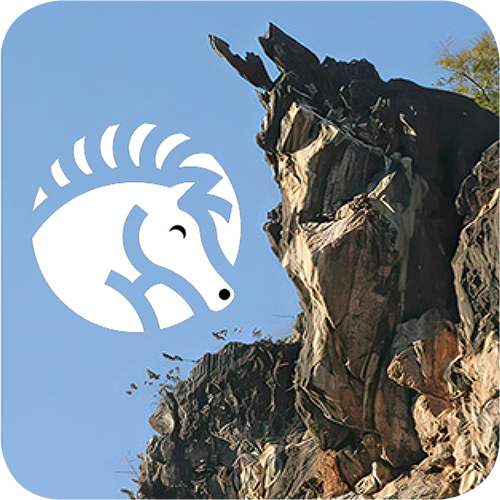Crazy Horse 500sq2