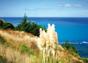 Notebook K Kaiti Hill sm