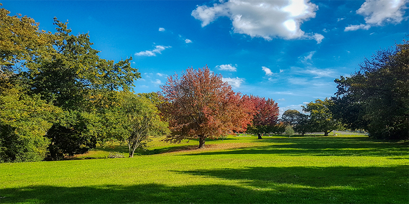 Gisborne Waiteata Park