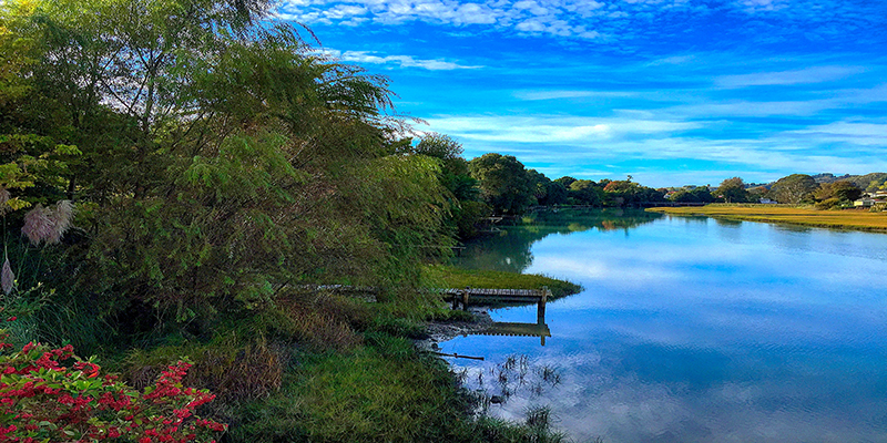 Gisborne. Taruheru River from Derby Street Bridge.