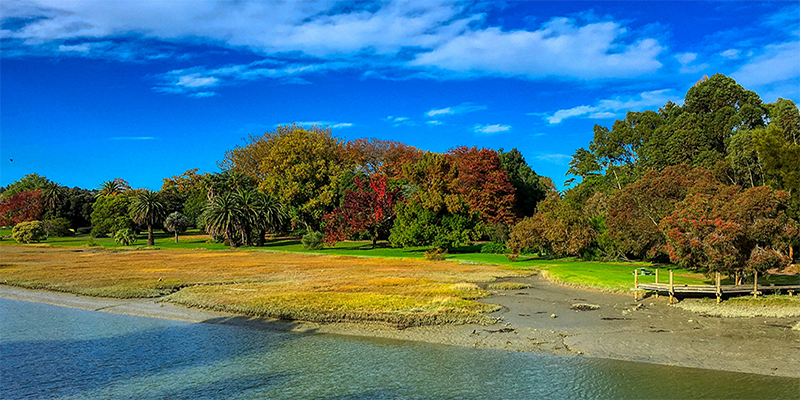 Gisborne. Botanical Gardens - alive with Autumn