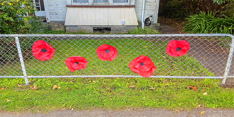 ANZAC fence feature . . 