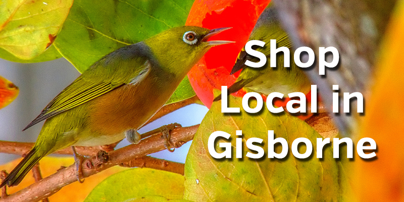 Shop Local in Gisborne