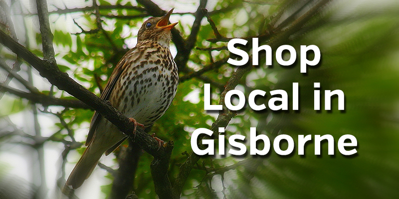 Shop Local in Gisborne