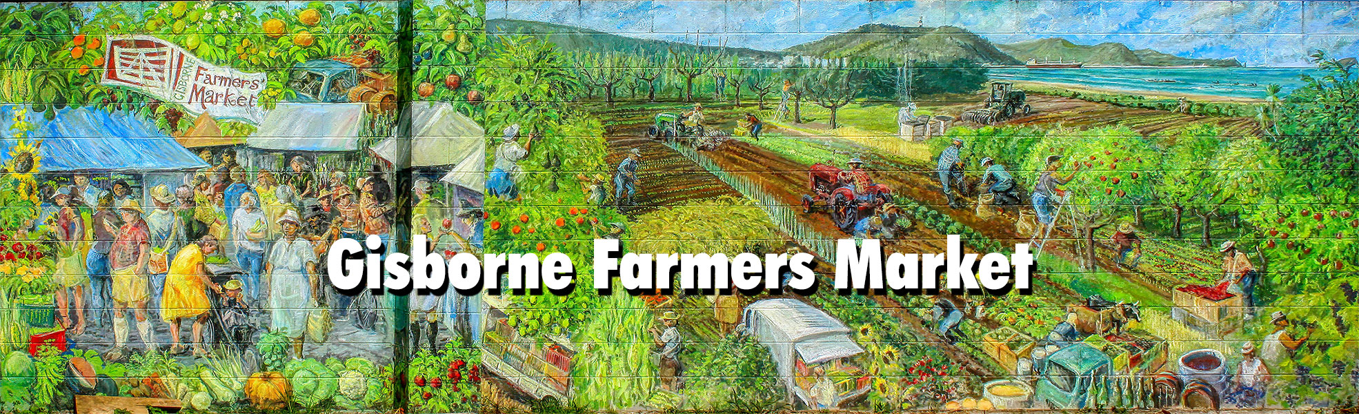 the Gisborne Farmers Market
