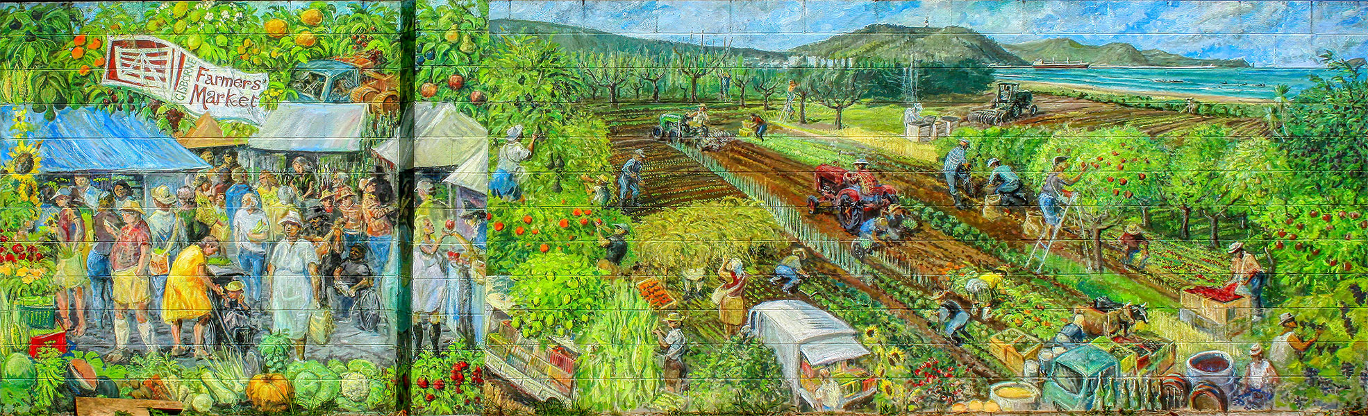 Gisborne Farmers Market 1970x600