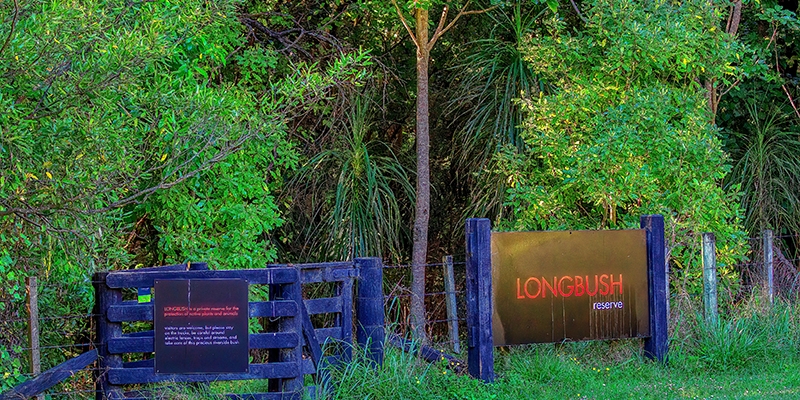 Longbush Reserve, Gisborne