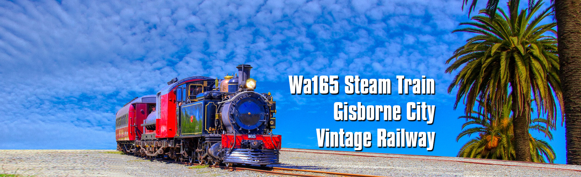 Wa165 extended sky Vintage Train
