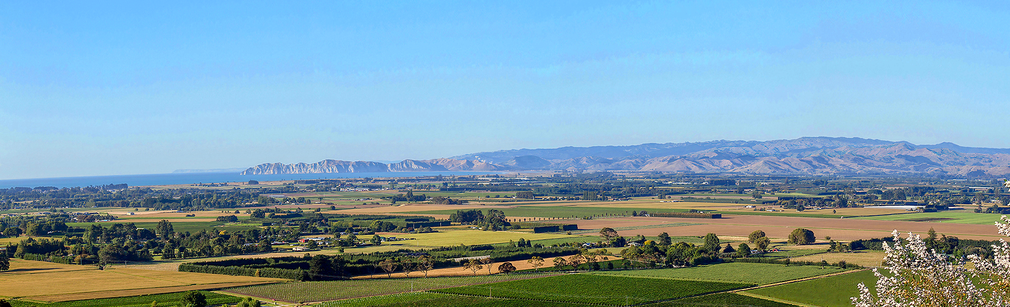 YNH PB flats Panorama Gisborne