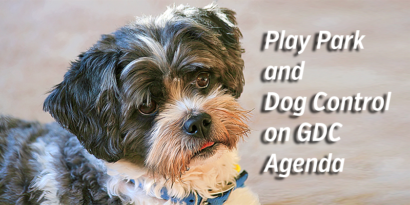 Play Park & Dog Control on GDC Agenda