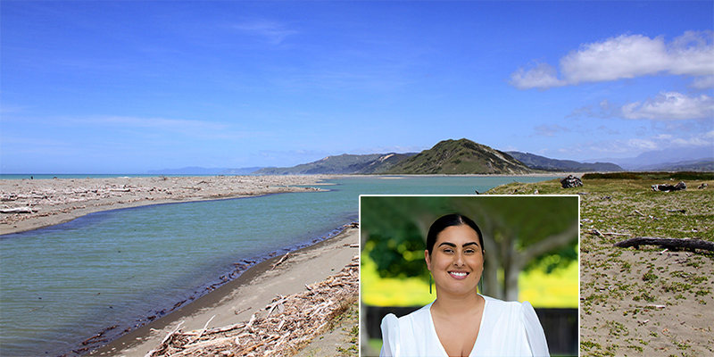 . . . from the Desk of Rawinia Parata: GDC Councillor