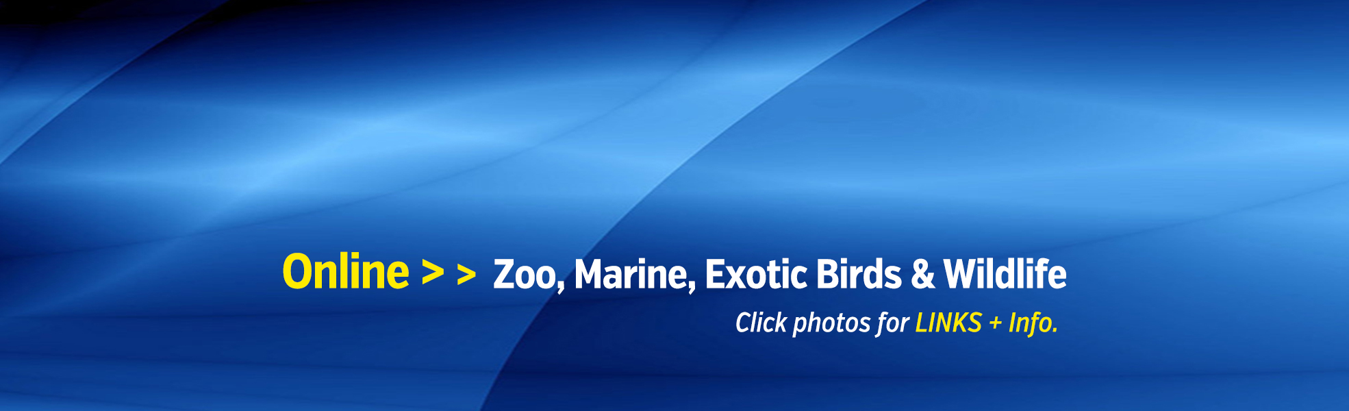 Online Zoo 1970x603