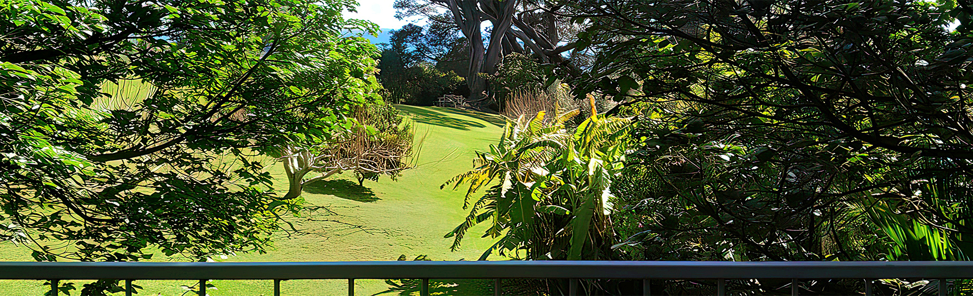 Sheldrake BnB view out to sea 1970x600