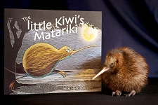 Little Kiwi 450x300