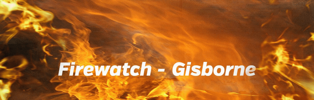 Fire 1000px 15fps
