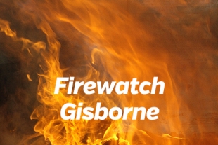 Firewatch Gisborne 500