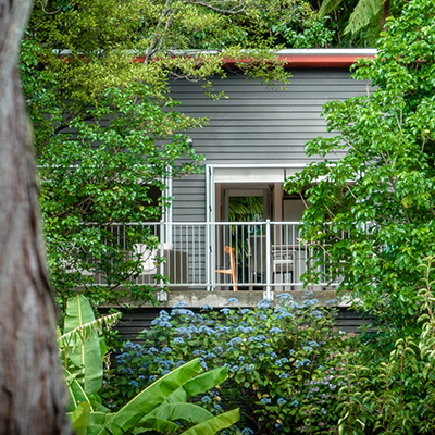 SBnB Tree Look In 400sq