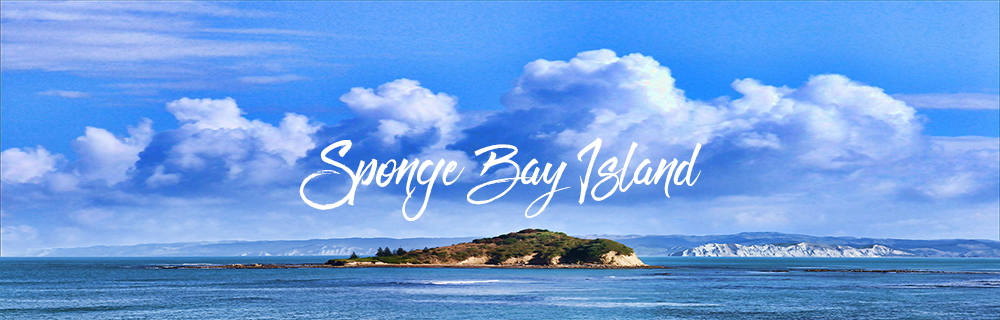Sponge Bay Island 1000x320a