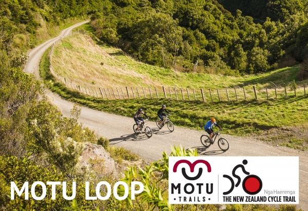 WEBSITE motu loop