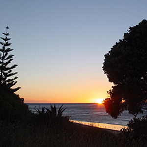 Wainui Beach Sunrise Sq 300