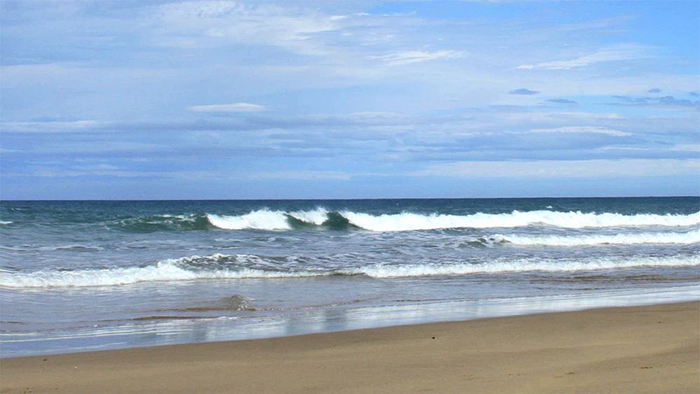 Wainui Beach ima