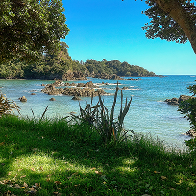 Whanarua Bay Beach 400Sq