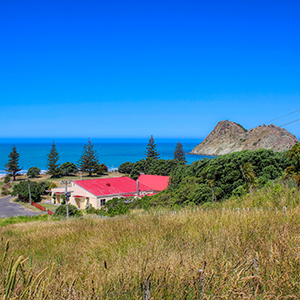 Whangara Sq301