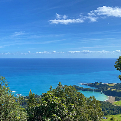 Whanurua Bay 400sq