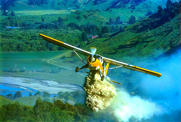 ZK AZB Beaver