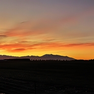 Ashburton Sunset 300sq