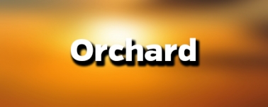 Orchard