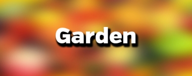 Gisborne Farmers Market Garden