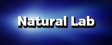Natural Lab