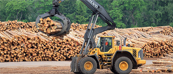 eh gisborne logging insurance 600x257